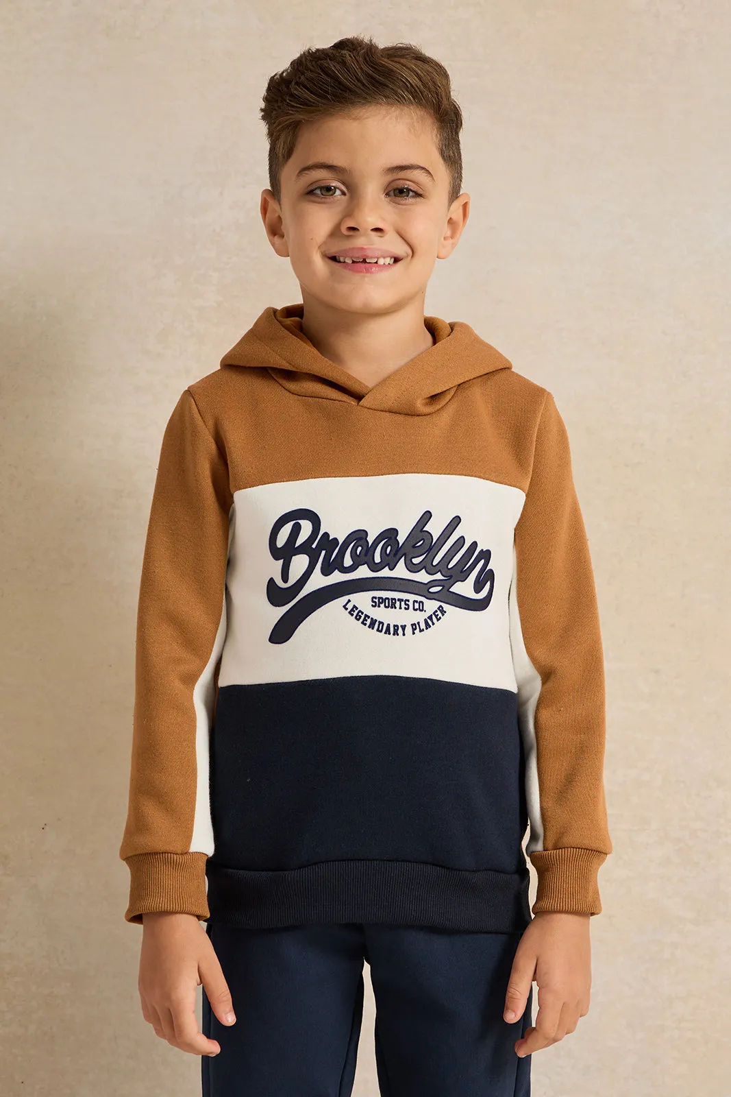 Boys Brown Hooded Printed Sweatshirt