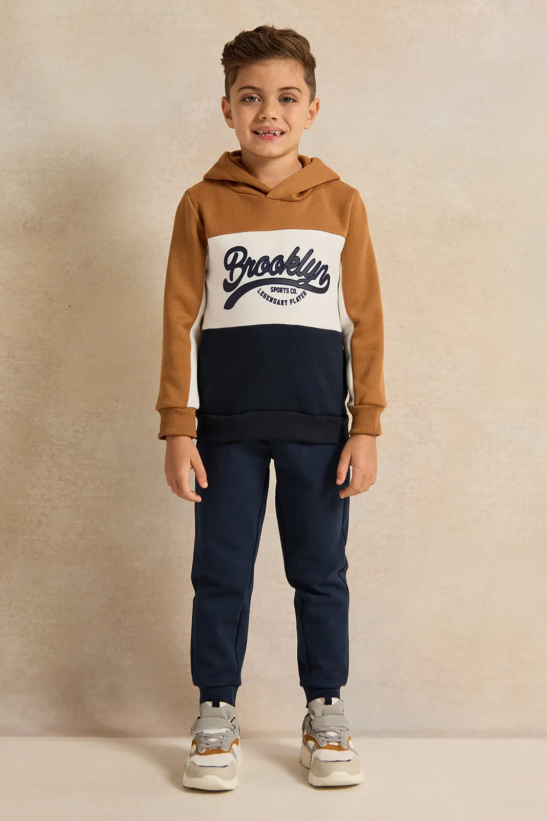 Boys Brown Hooded Printed Sweatshirt