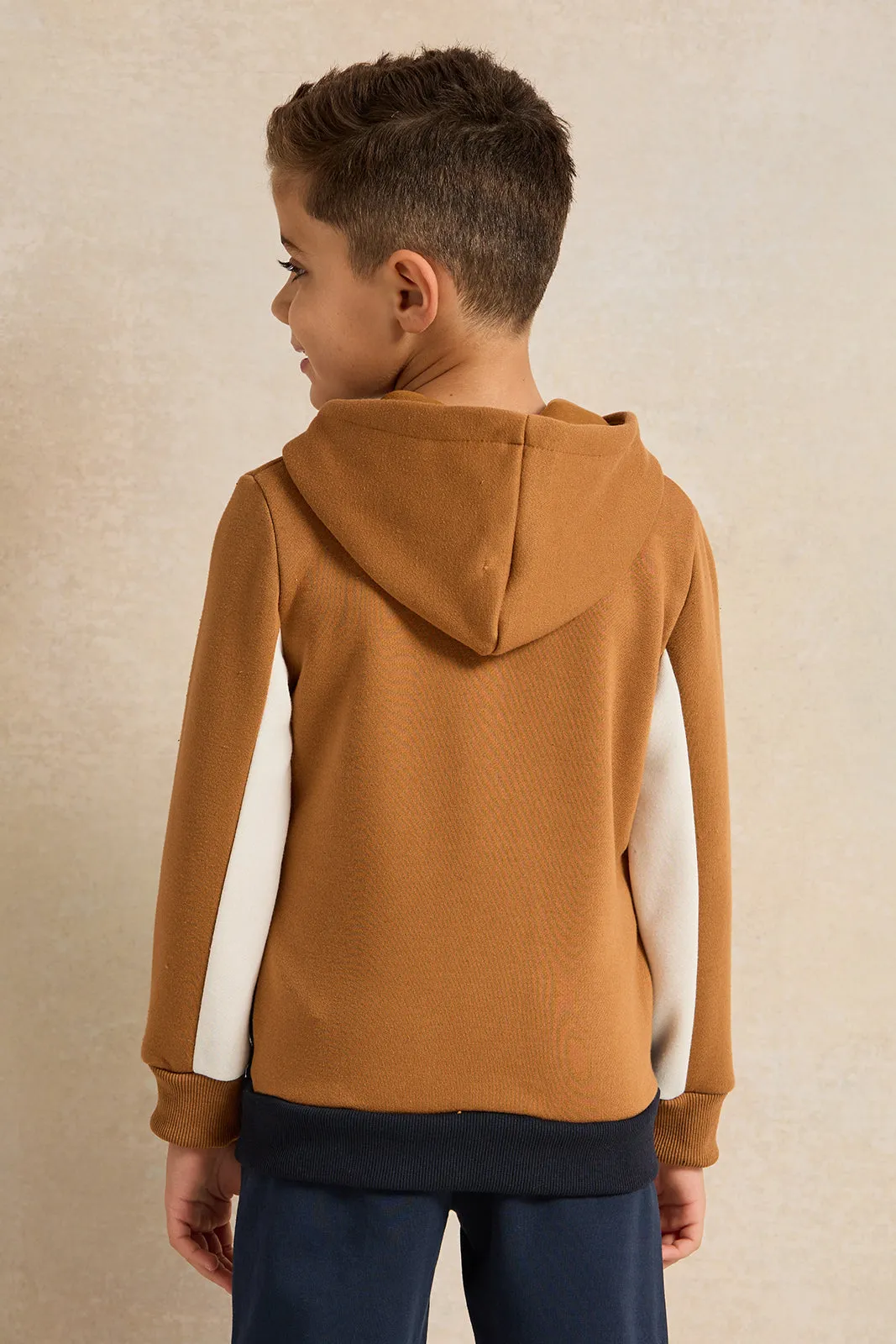 Boys Brown Hooded Printed Sweatshirt