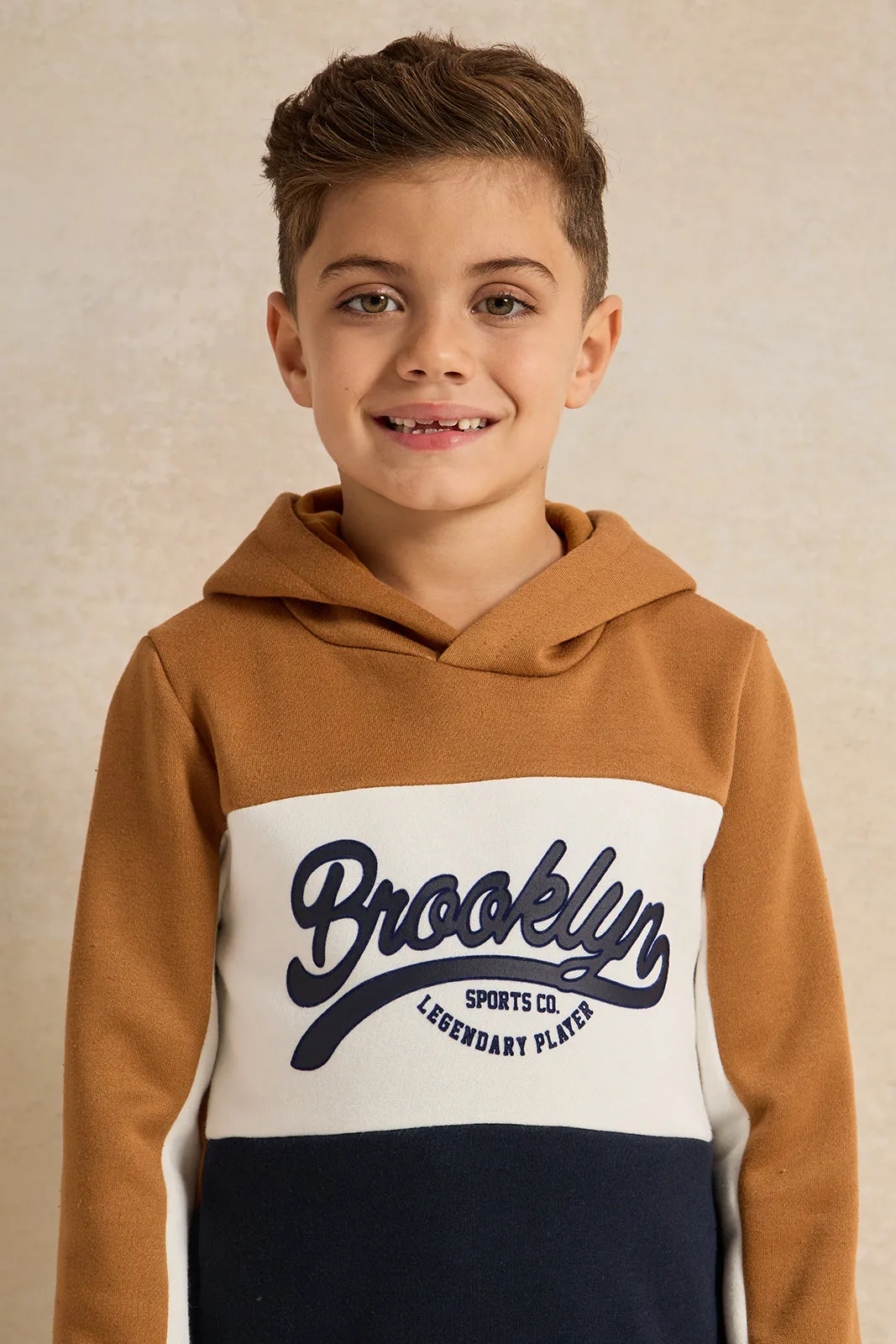 Boys Brown Hooded Printed Sweatshirt