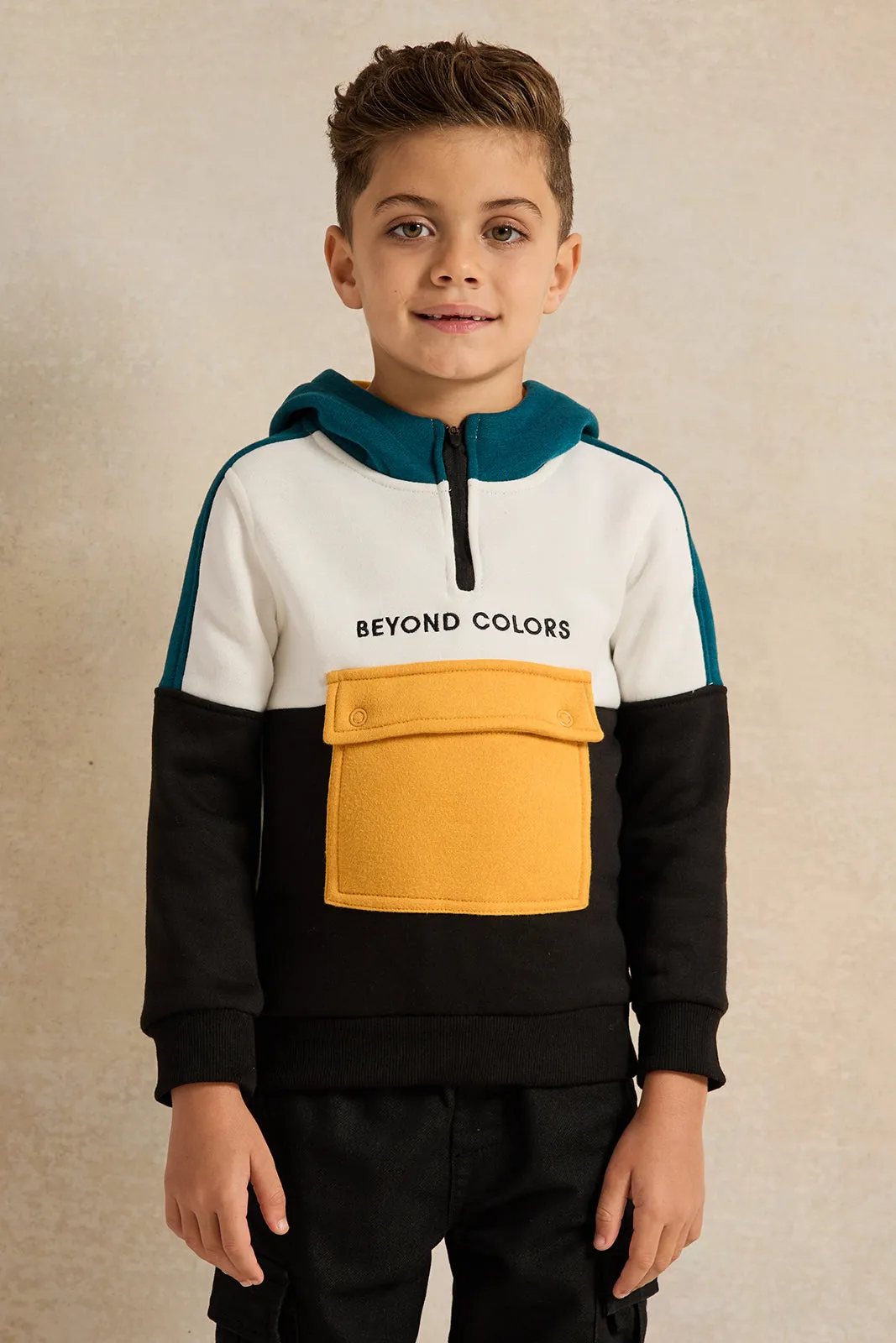 Boys Multicolour Hooded Sweatshirt