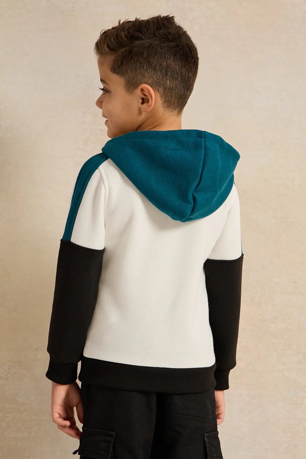 Boys Multicolour Hooded Sweatshirt