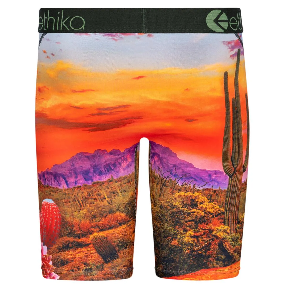 Ethika DESERT DOG Men's Underwear