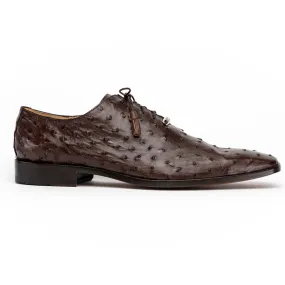 Brown Ostrich Quill Dress Oxfords by Marco Di Milano