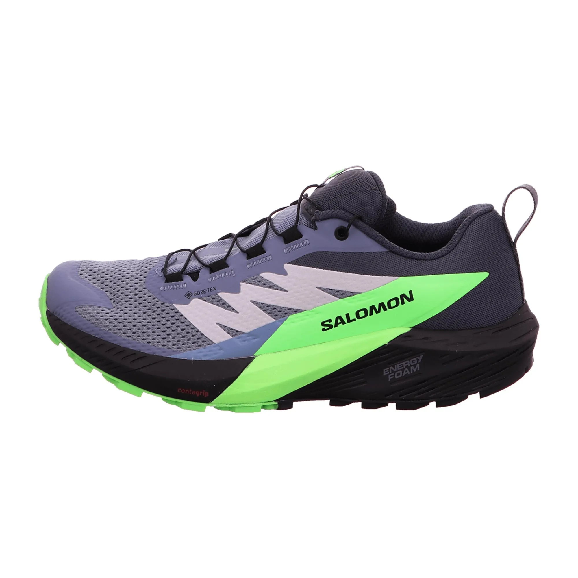 Men's Salomon Gray Sense Ride 5 GTX Shoes