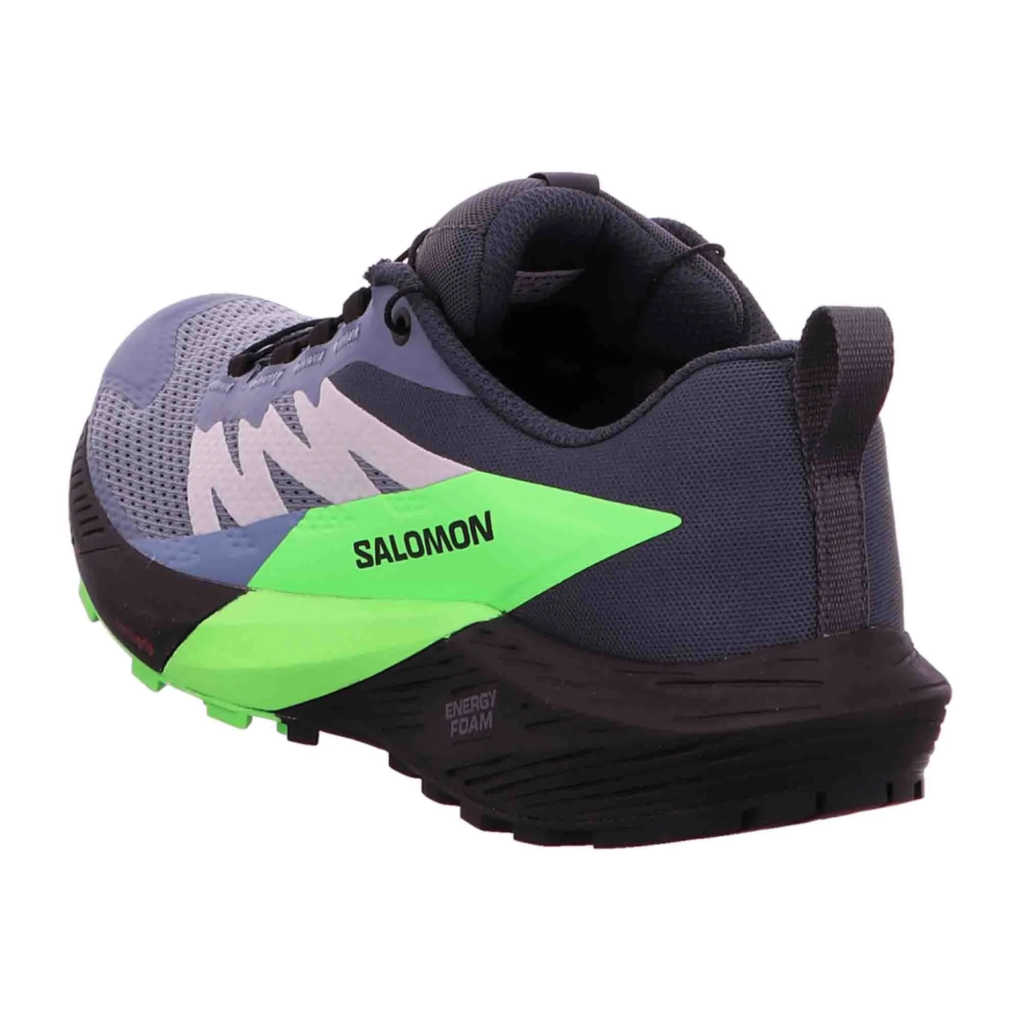 Men's Salomon Gray Sense Ride 5 GTX Shoes