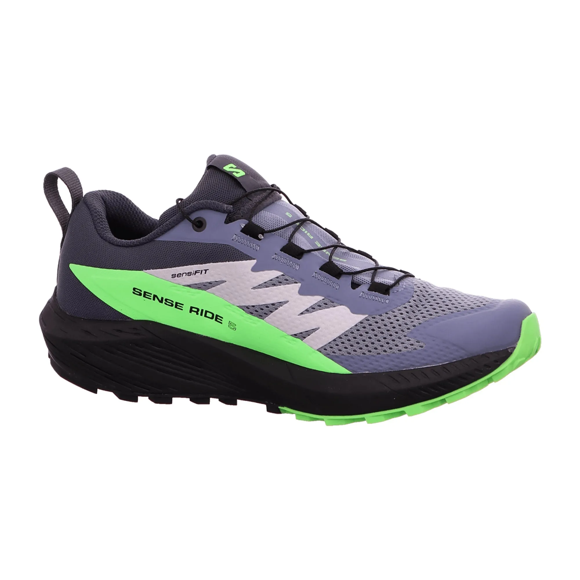 Men's Salomon Gray Sense Ride 5 GTX Shoes